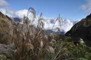030 110519 Inca Trail 3