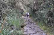 047 110519 Inca Trail 3