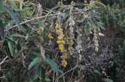 050 110519 Inca Trail 3