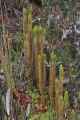 057 110519 Inca Trail 3