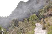 059 110519 Inca Trail 3
