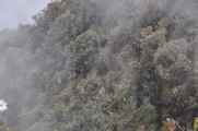 060 110519 Inca Trail 3