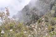 061 110519 Inca Trail 3