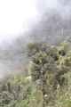 064 110519 Inca Trail 3