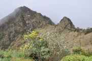 068 110519 Inca Trail 3