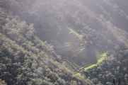 076 110519 Inca Trail 3