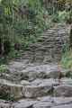 077 110519 Inca Trail 3