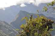 081 110519 Inca Trail 3