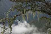 007 110520 Inca Trail 4