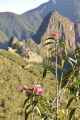 018 110520 Inca Trail 4