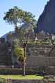 036 110520 Inca Trail 4