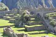 047 110520 Inca Trail 4