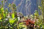 055 110520 Inca Trail 4