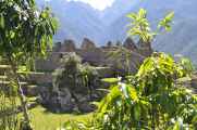 056 110520 Inca Trail 4