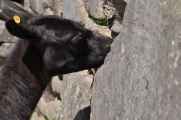 075 110520 Inca Trail 4