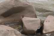 084 110520 Inca Trail 4
