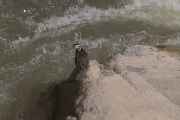 085 110520 Inca Trail 4