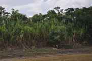 022 110521 Puerto Maldonado