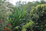 027 110521 Puerto Maldonado