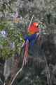 032 110521 Puerto Maldonado