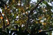 046 110521 Puerto Maldonado