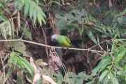 002 110522 Puerto Maldonado