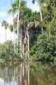 074 110522 Puerto Maldonado