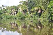 075 110522 Puerto Maldonado