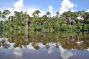 076 110522 Puerto Maldonado