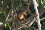 088 110522 Puerto Maldonado