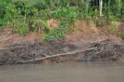 030 110523 Puerto Maldonado
