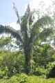 013 110524 Puerto Maldonado