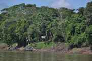 034 110524 Puerto Maldonado